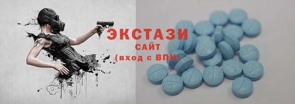 ECSTASY Гусь-Хрустальный