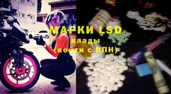 ECSTASY Гусь-Хрустальный