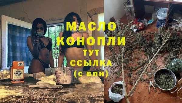 ECSTASY Гусь-Хрустальный