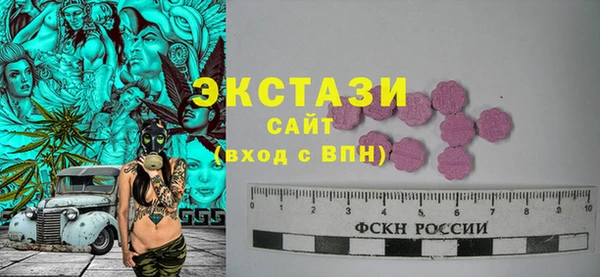 ECSTASY Гусь-Хрустальный