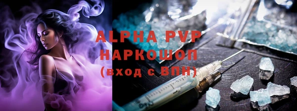 ECSTASY Гусь-Хрустальный