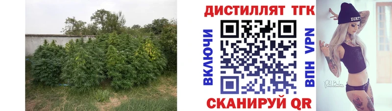 Дистиллят ТГК концентрат  купить наркотики цена  Дрезна 