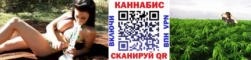 маркетплейс как зайти  мега ССЫЛКА  Дрезна  Канабис White Widow 